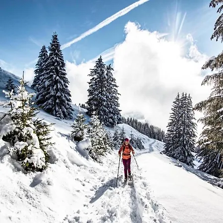 Near Area For 6 People * Châtel